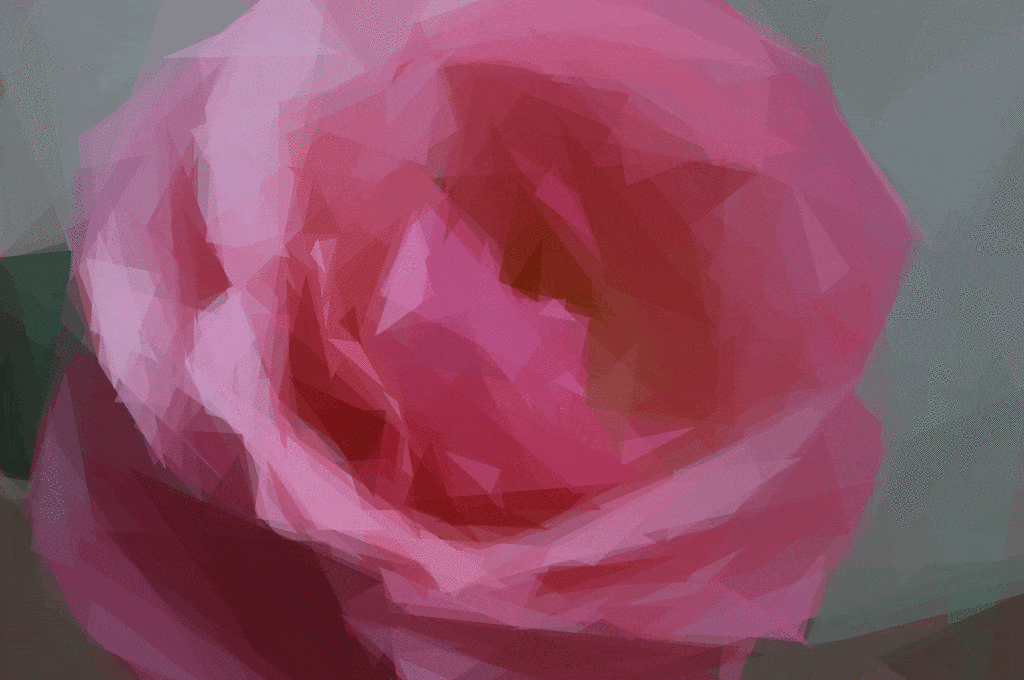 Motion-rose